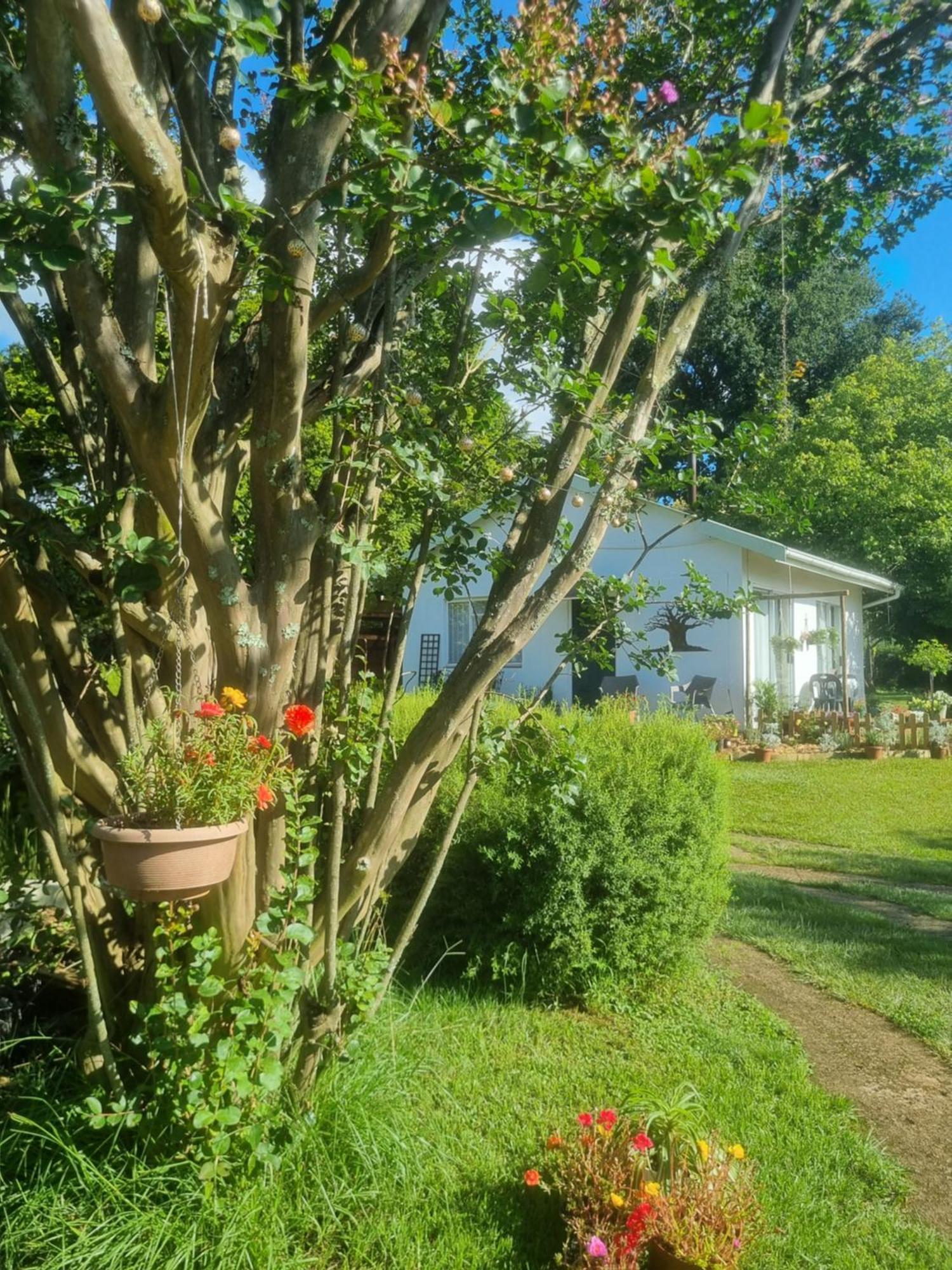 The Cottage On The Corner Himeville Exterior photo